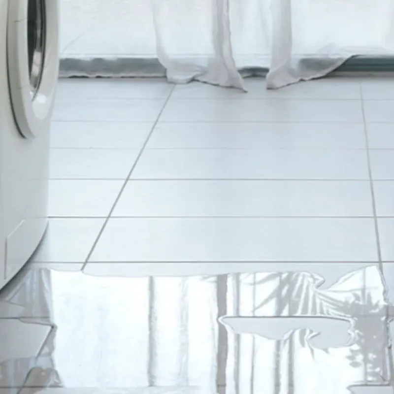 Appliance Leak Cleanup in Alpena County, MI